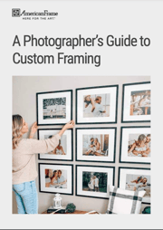 A Photographers Guide to Custom Framing - cover image